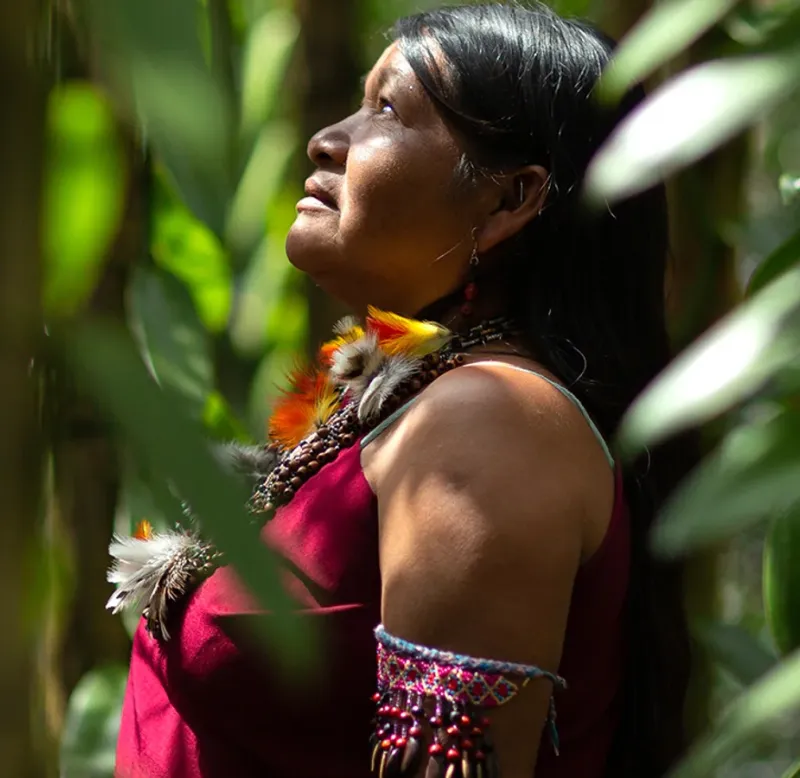 Adaptation in Today's World