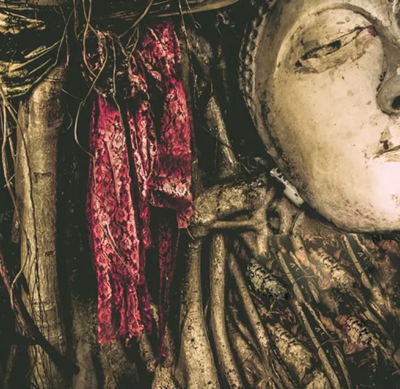 Rooted in Living Memory: Community, Place, and Tradition